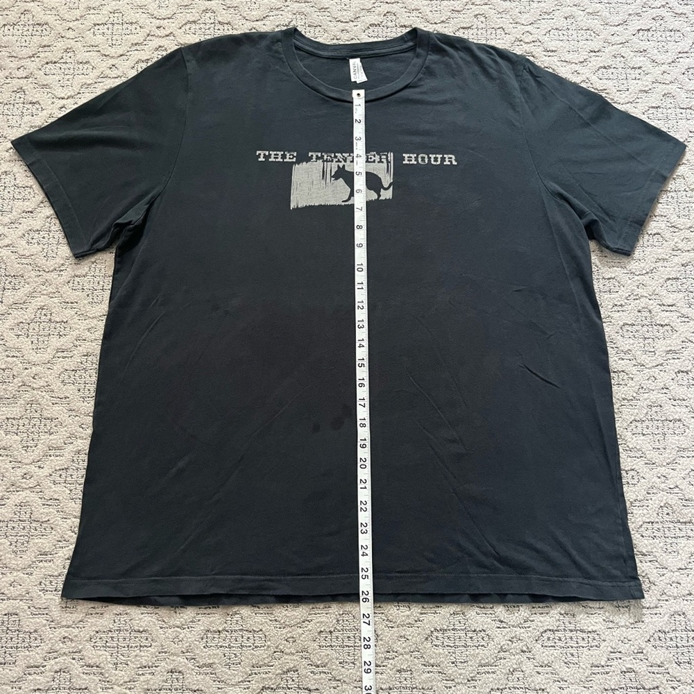 🎸 '15 Amy Ray Solo Artist Tour Tender Hour Dog Live In Seattle Album IG Soft Tee - Picture 5 of 13